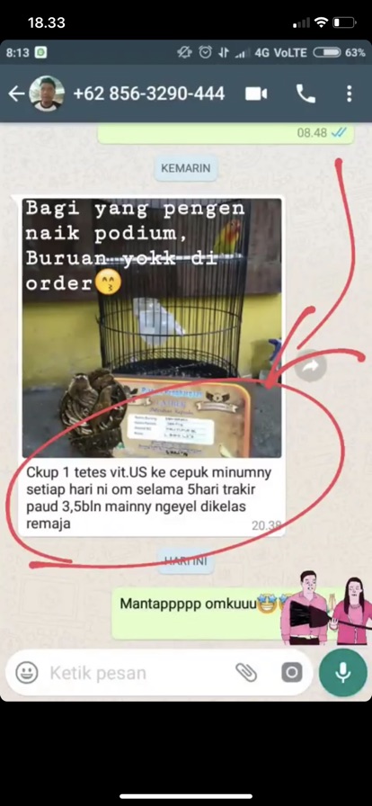 Vitamin US original obat vitamin burung kicau lovebird murai kacer cucak ijo cendet