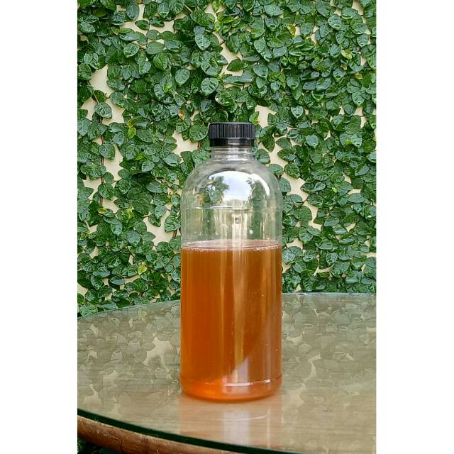 

madu murni Dinara 500gr tidak makan gula dari lebah lokal Apis Cerana