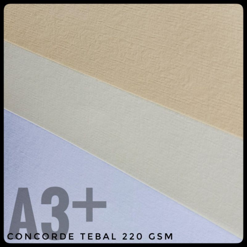 

KERTAS CONCORDE TEBAL 220 GR UK A3+ 32 CM x 48,4 CM ( ISI 50 LEMBAR )