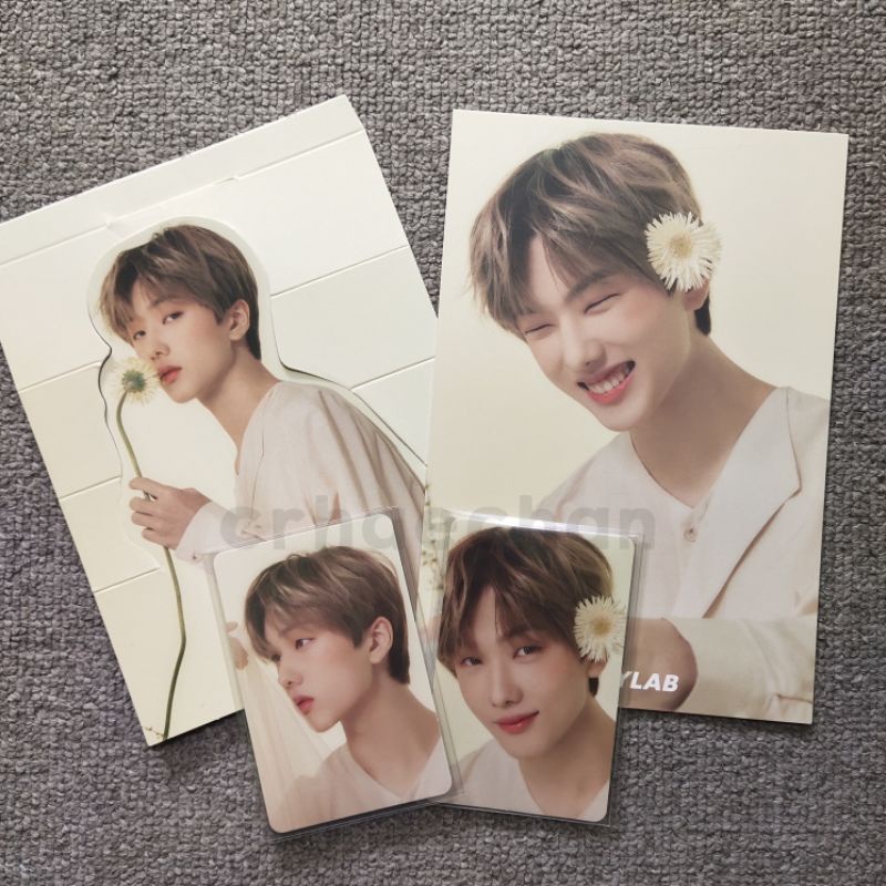 jisung candylab v4 konsep