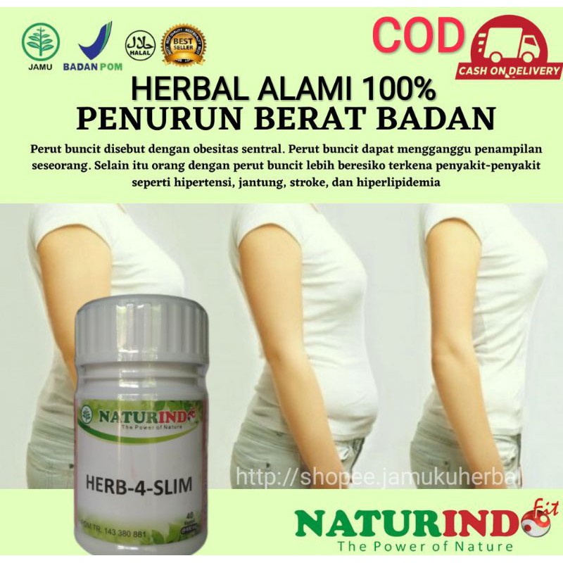 HERBAL PENURUN BERAT BADAN.DIET ALAMI NATURINDO FRESH