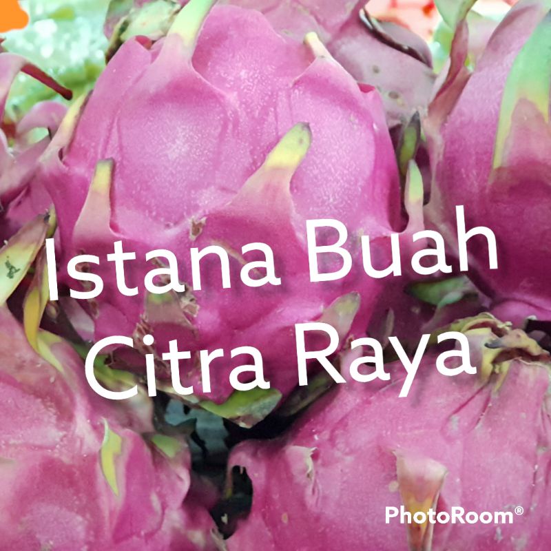 

Buah naga merah