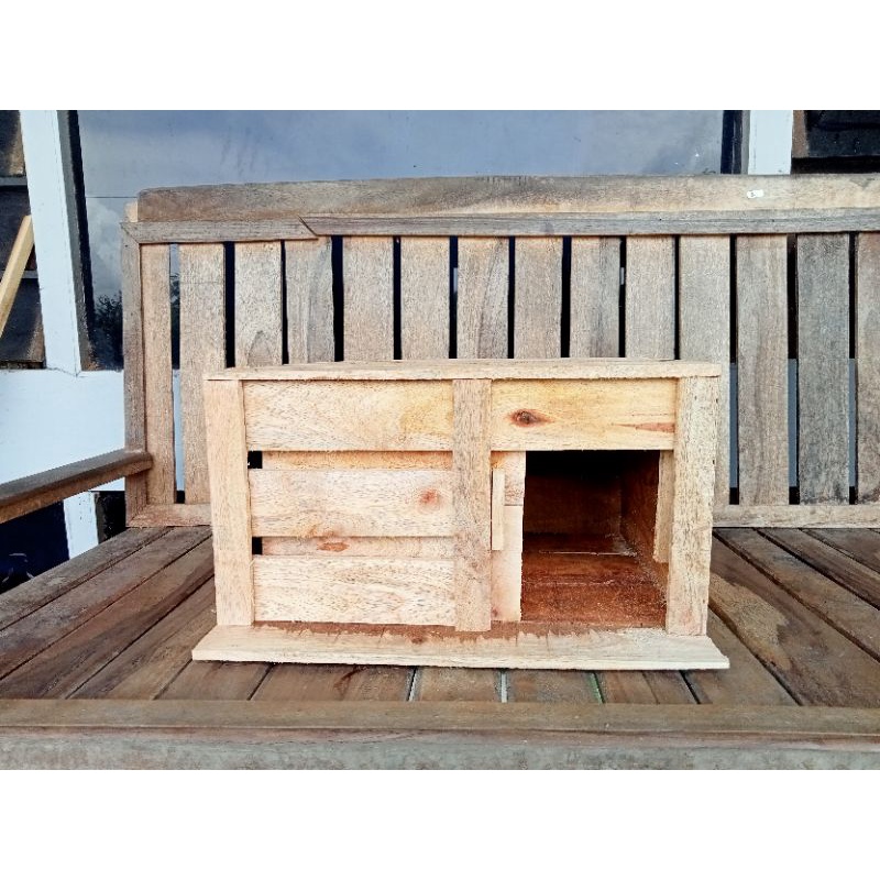 Gupon Merpati Terlaris Termurah Pagupon Burung Dara