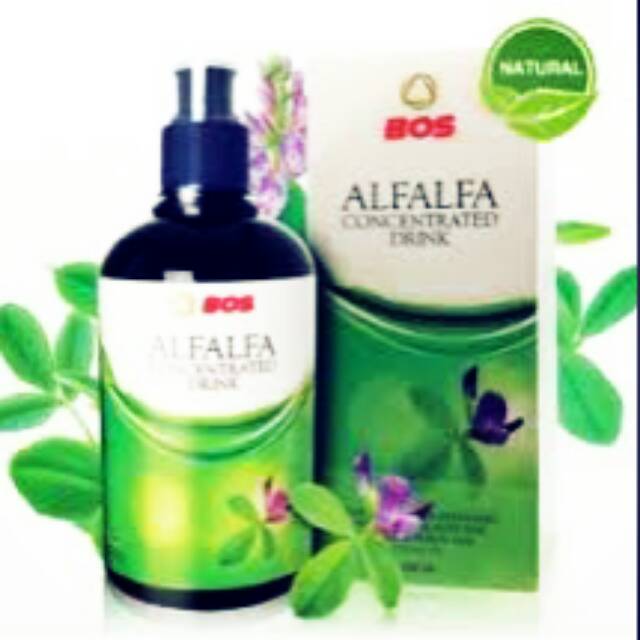 Alfalfa Concentrated drink 2 dan seagold 1 asli original 100%