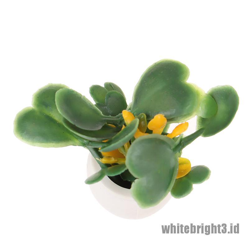 (white3) Miniatur Pot Tanaman Hijau Skala 1: 12 Untuk Dekorasi Rumah Boneka