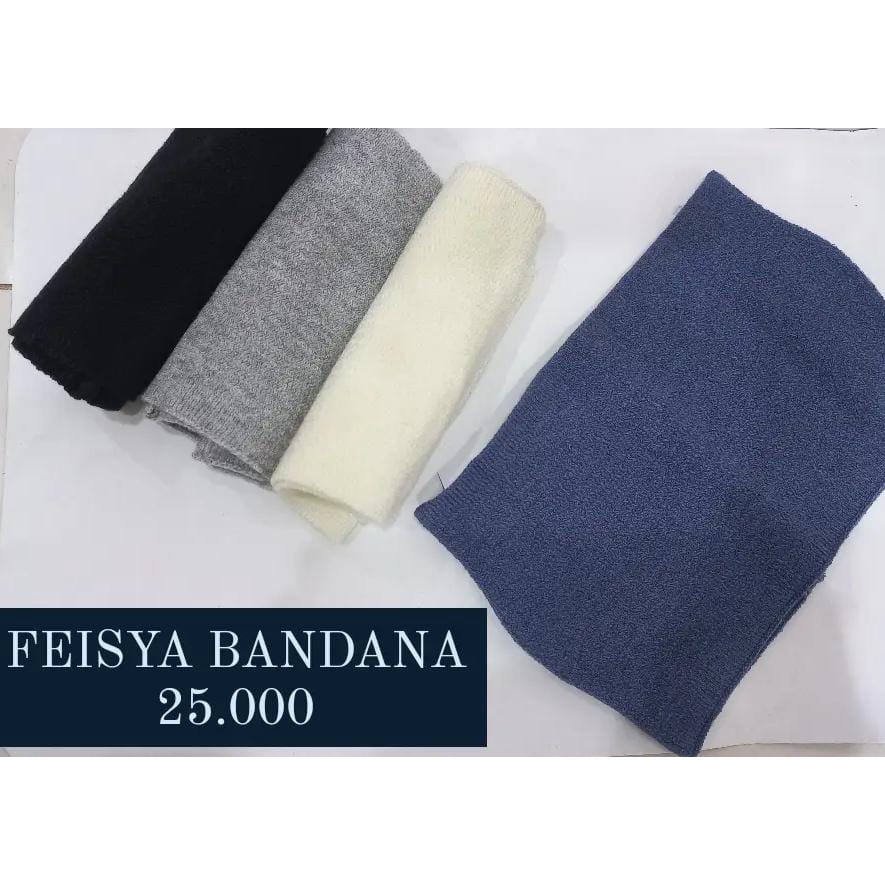 FEISYA BANDANA DAUKY