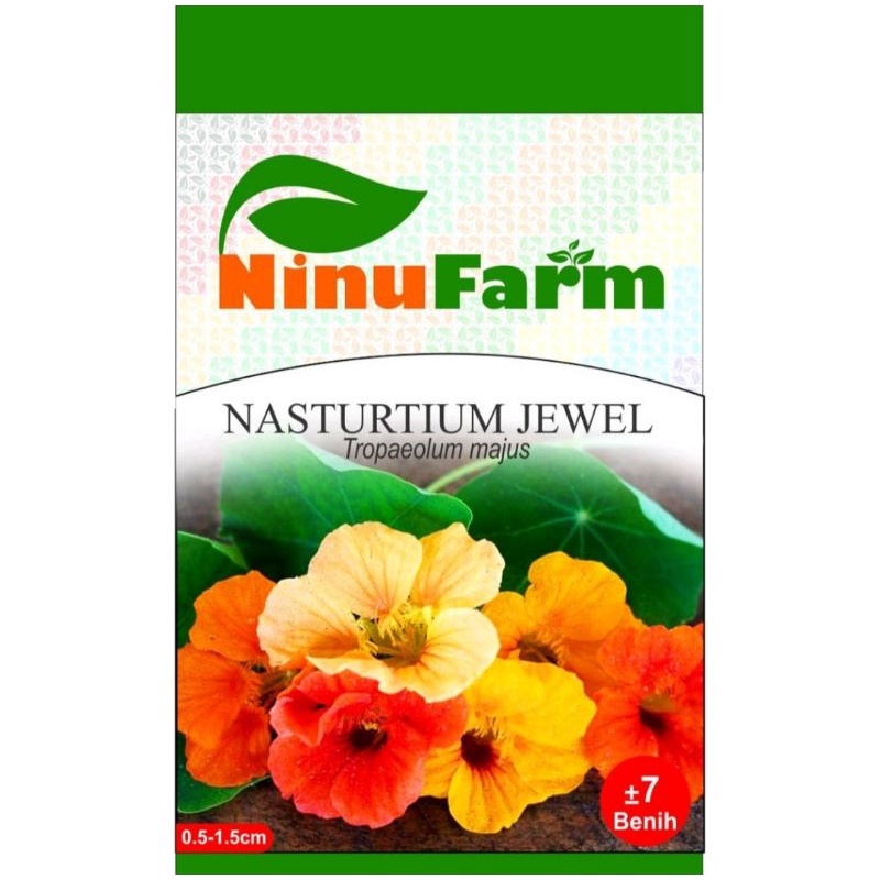 Benih Bibit Bunga Nasturtium Jewel / Benih Bunga Unik Tanaman Hias Murah Aglonema