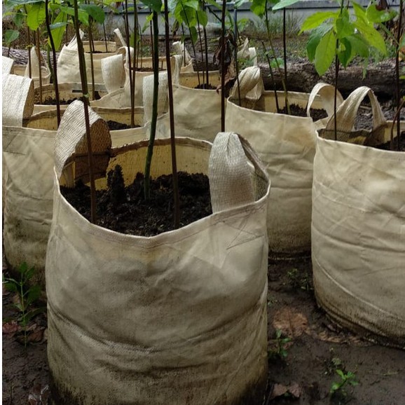 Planter Bag Ukuran 100 Liter Kualitas Tahan Lama