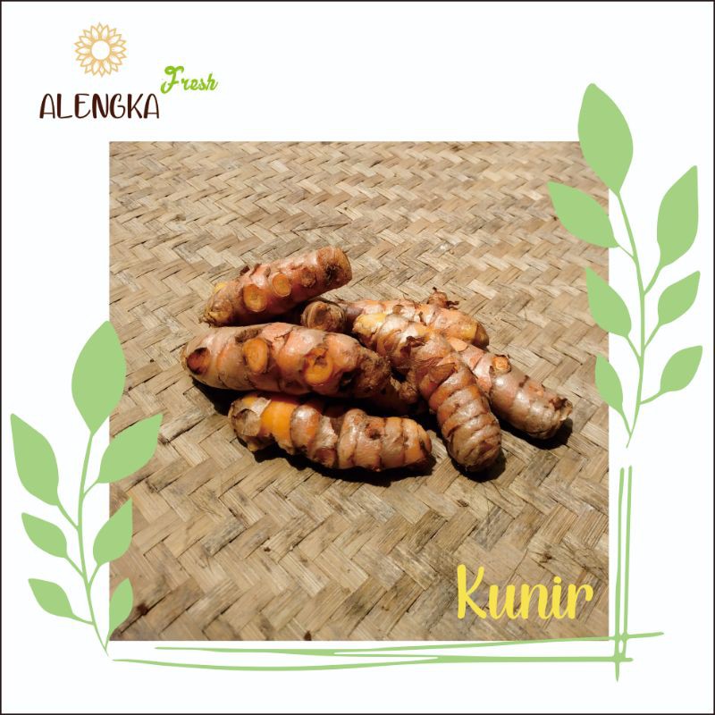 

Rempah - Kunir - Kunyit 250g
