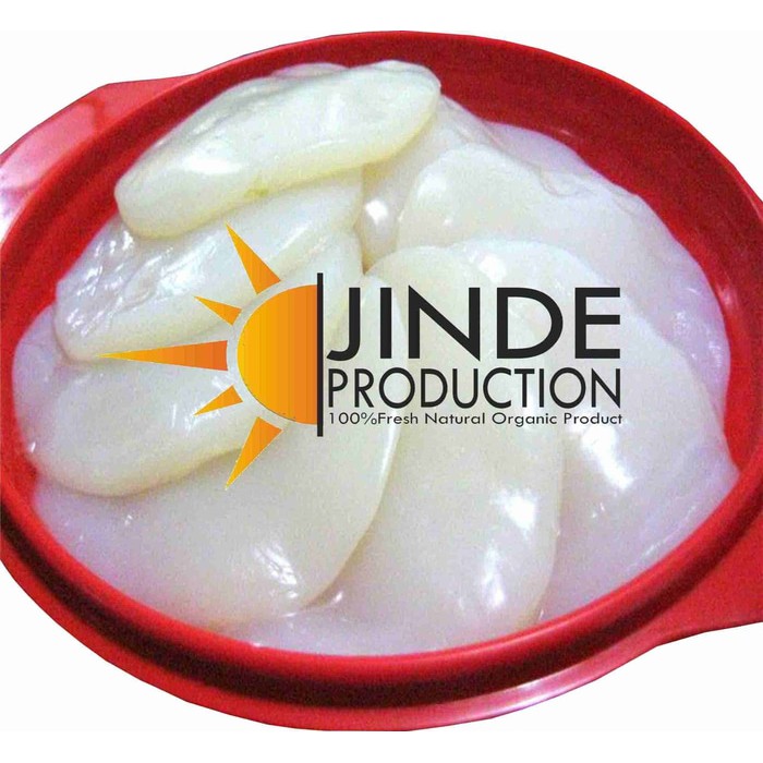 Jamur Teh / jamur kombucha original / jamur dipo / jamur super