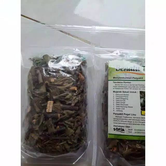 

teh benalu