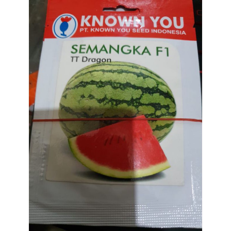 benih bibit semangka TT dragon Known you seed