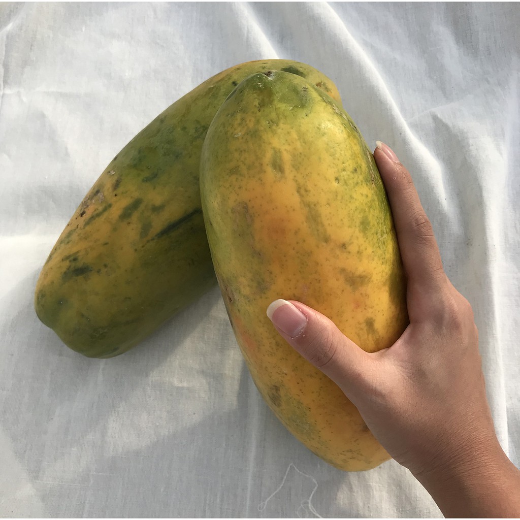 

PEPAYA IMPOR / PEPAYA CALIFORNIA