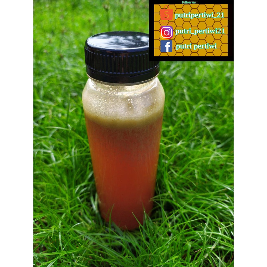 

Madu Hutan Pesawaran Lampung 325 gr Botol Kale