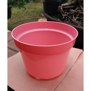 Pot Bunga 17 cm Pot Semai Bonsai Bibit Bisa Hidroponik Pot Bunga 17 cm Pot Semai Bonsai Bibit Bisa Hidroponik