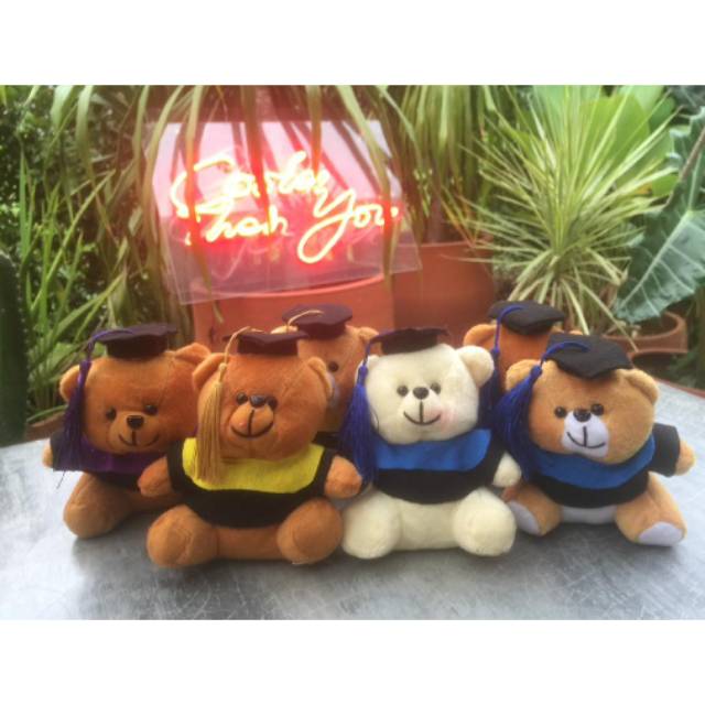 Boneka bear kecil boneka wisuda cocok untuk piala wisuda atau bucket boneka wisuda souvenir wisuda