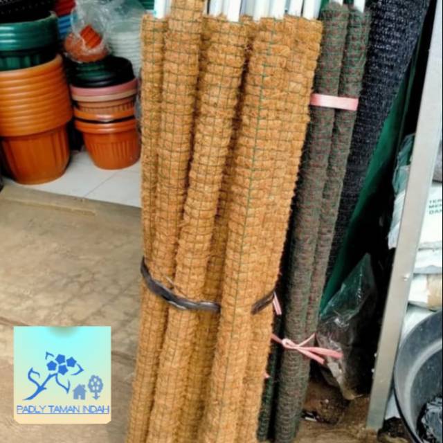 TURUS PENYANGGA TANAMAN . TURUS MURAH PENYANGGA TANAMAN RAMBAT