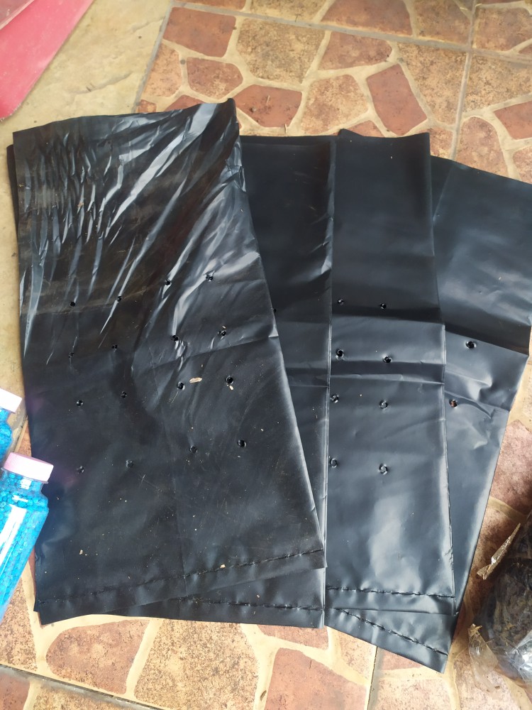 Plastik Polybag Ukuran 40 Cm Harga Eceran