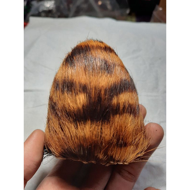 Merah Siam Kotak Mewah