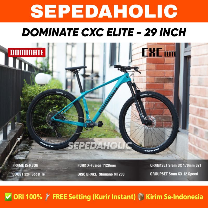 Sepeda Gunung MTB DOMINATE CXC ELITE 29 Inch Carbon 12 Speed Hidrolik