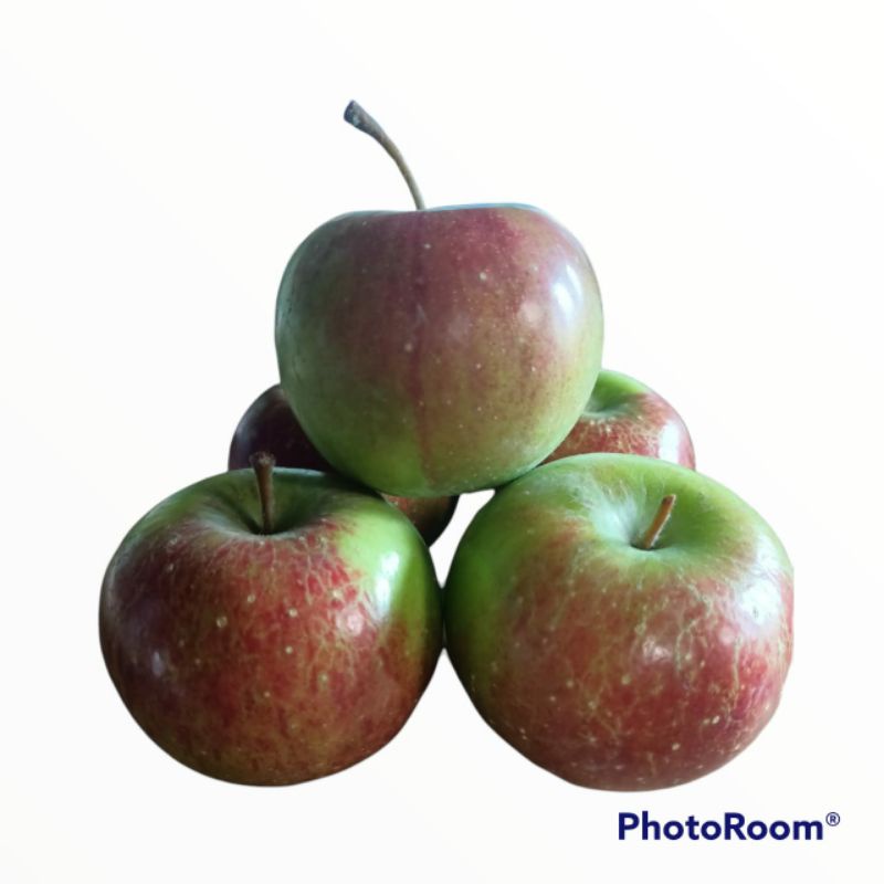 apel khas malang rome beauty 1kg 7-9buah