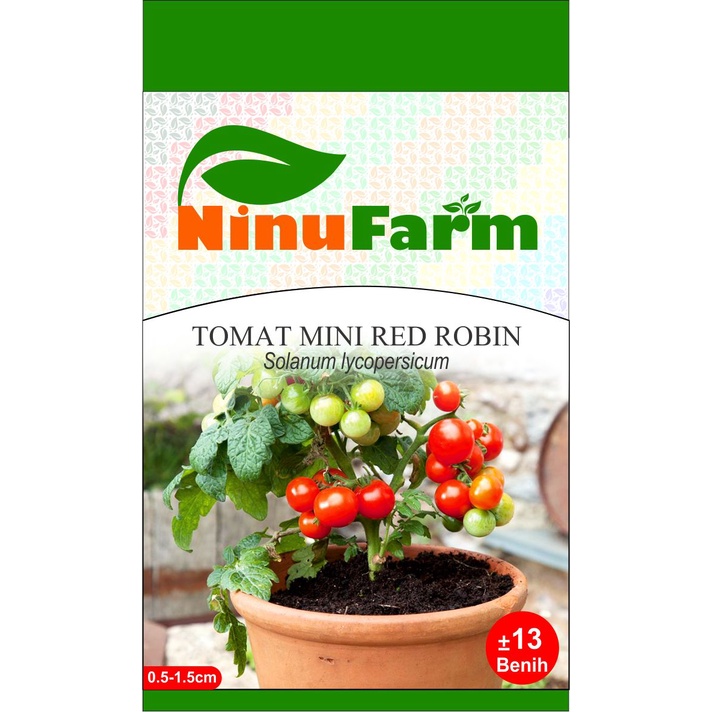 Benih Tomat Mini Red Robin 13Seeds