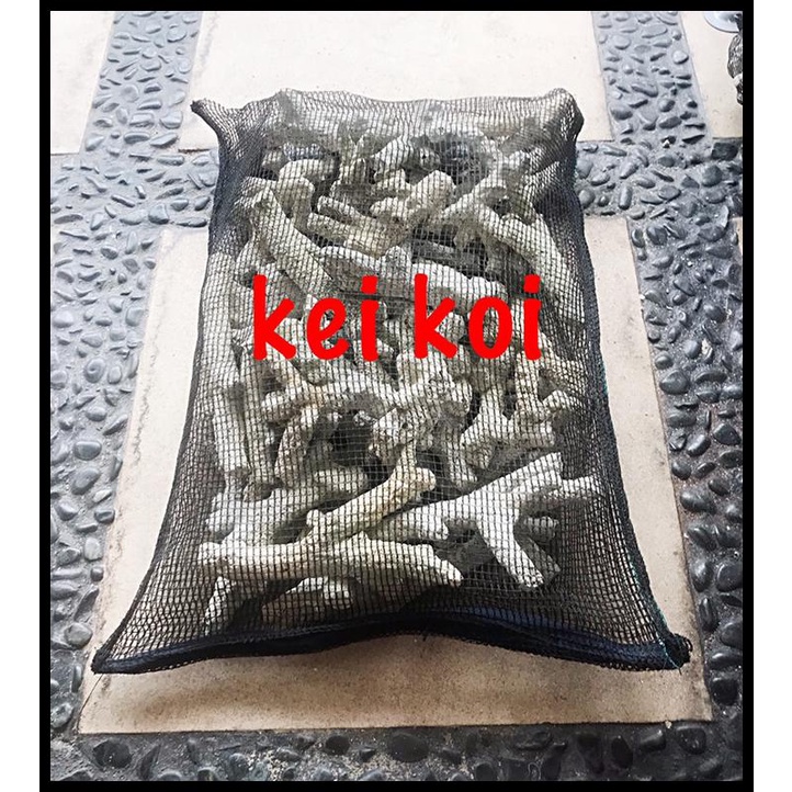 

Karang Jahe 4 Kg + Jaring Resleting