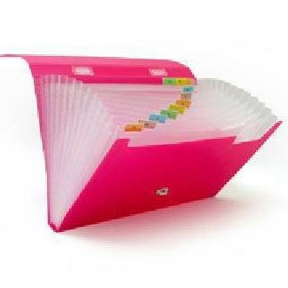 

Expanding Expandable File F4 Bantex 13Pocket