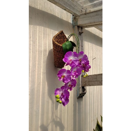 pot sabut kelapa/pot serabut kelapa/pot anggrek/pot tempel