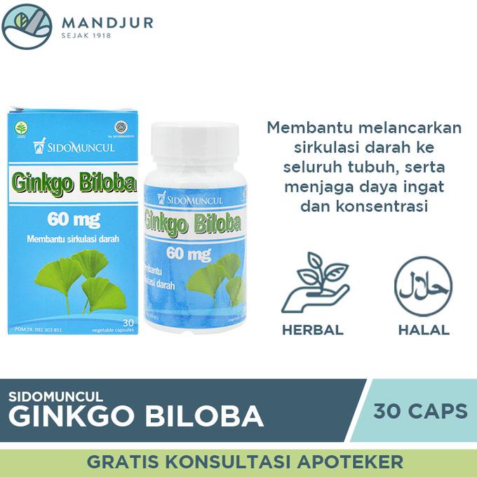 

TERMURAH Sido Muncul Ginkgo Biloba 30 Kapsul - Menjaga Daya Ingat Konsentrasi /OBAT HERBAL ASAM URAT/OBAT HERBAL PELANGSING/OBAT HERBAL KOLESTEROL/OBAT HERBAL DIABETES