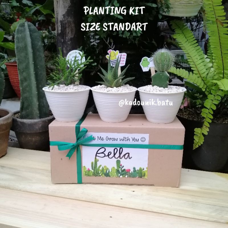 PLANTING KIT Kaktus dan Sukulen