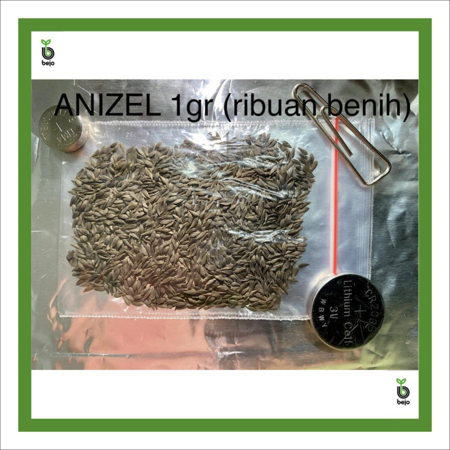 Benih / Biji / Bibit BEJO ANIZEL Selada Batavia - Kemasan 1 Gram