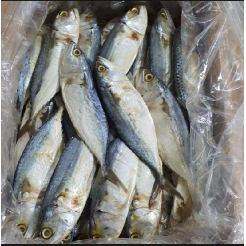 

Ikan Asin Peda Putih Jumbo Besar 1kg
