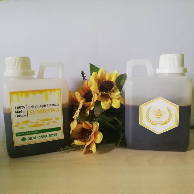 

Madu Hitam Hutan Sumbawa 450gr (100% Murni dan Asli)