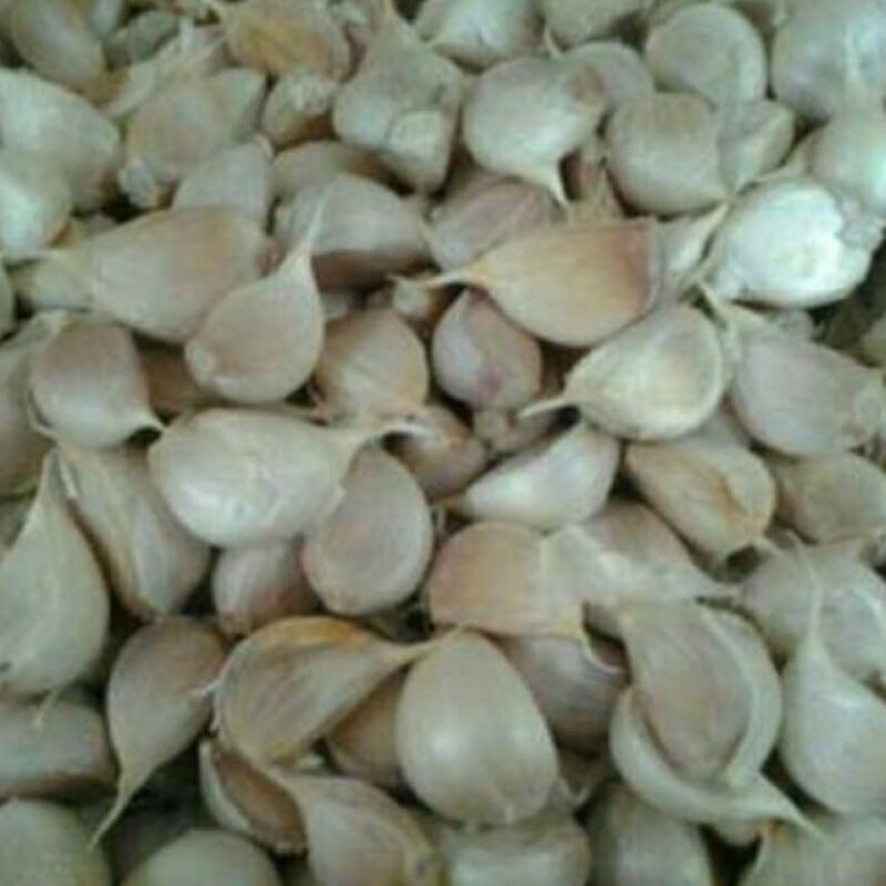

BAWANG PUTIH KATING 250 gr