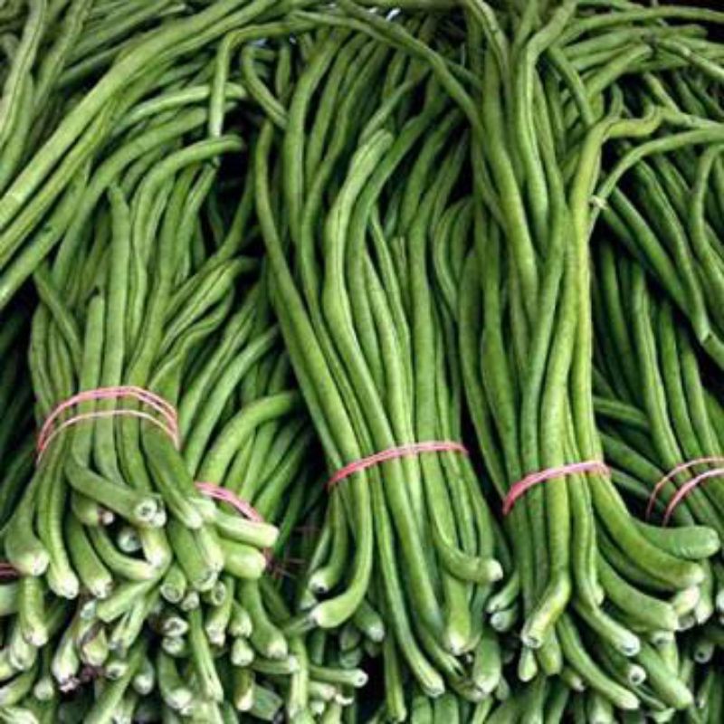 

kacang panjang 1 ikat gulung besar