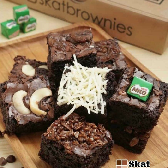 

T20R Skat Brownis Original Kekinian Versi Mini Ht501Gr