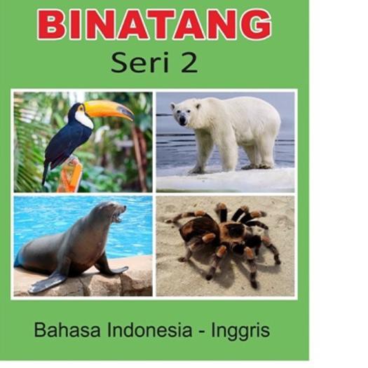 *DJEO* Flashcard animal seri 2 ♔ *aa*^