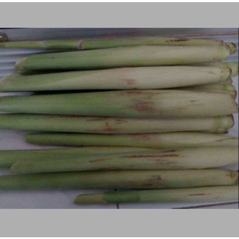 

Turubuk telor/turubuk sayur telor fress segar 1 kg