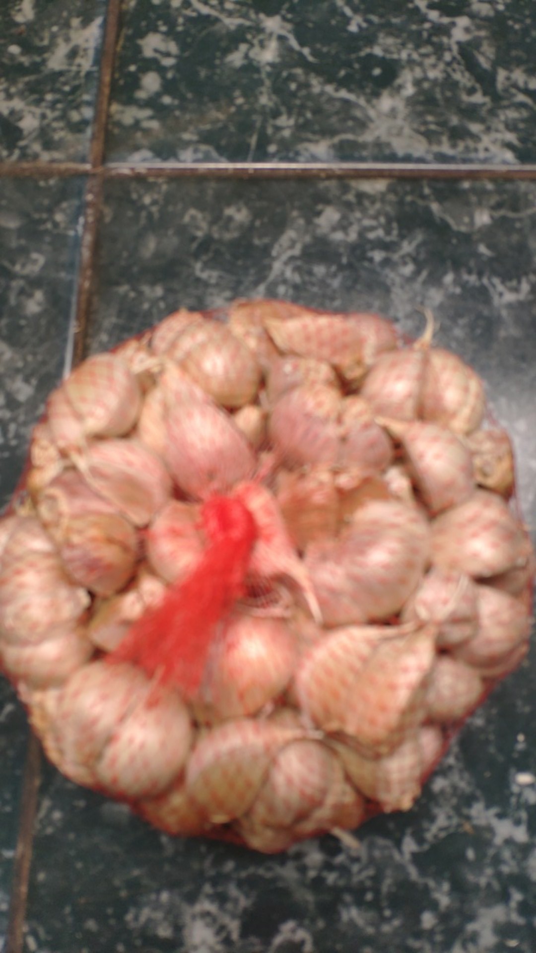 Bawang Putih Kating Harum Bersih 1 Kg