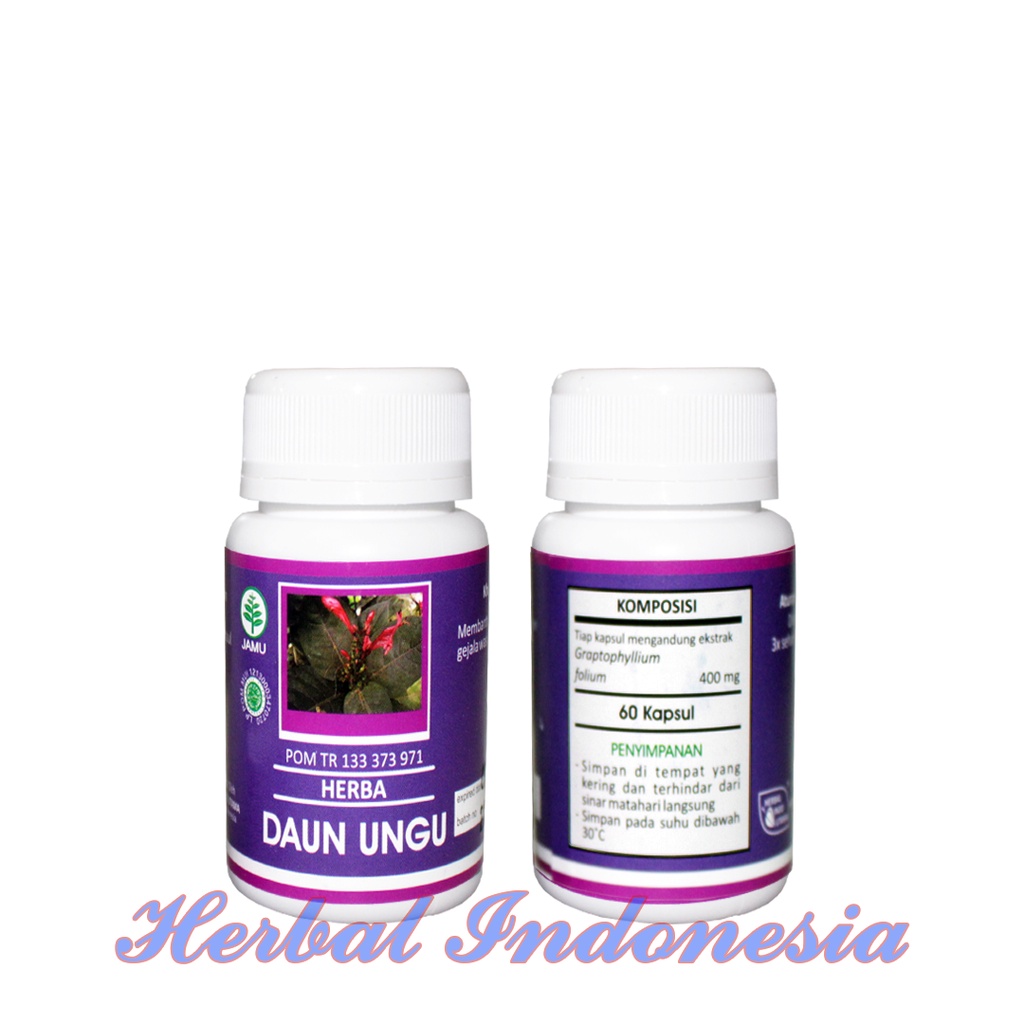 Kapsul Daun Ungu Herba HIU - Obat Wasir Original Isi 60