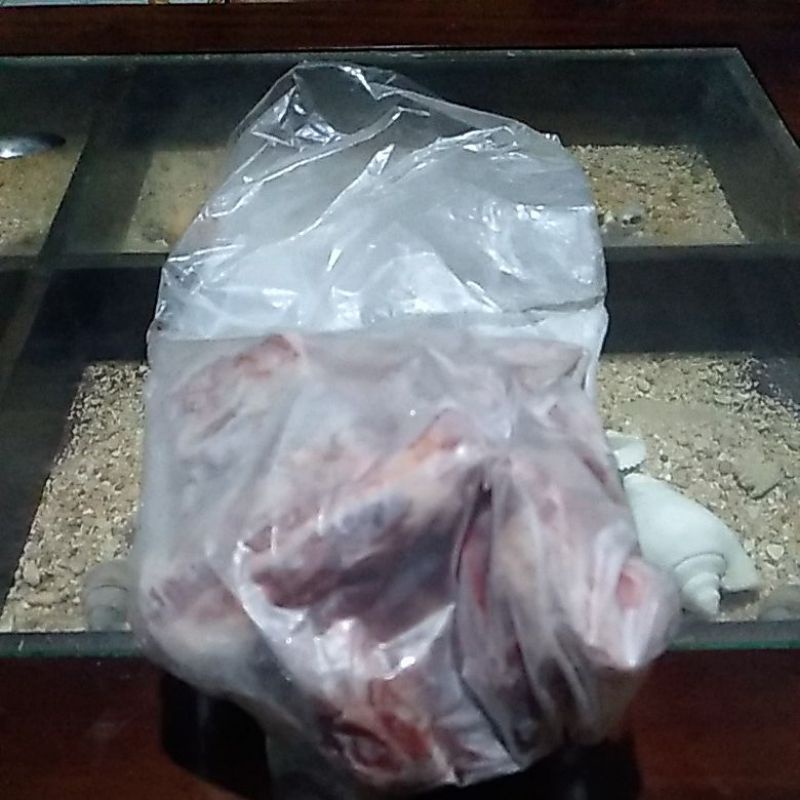 

Iga sapi