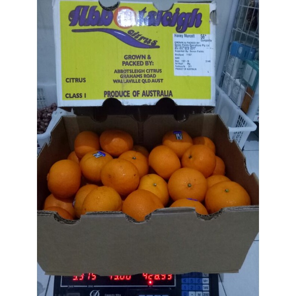

jeruk murcot SAFIRA buah
