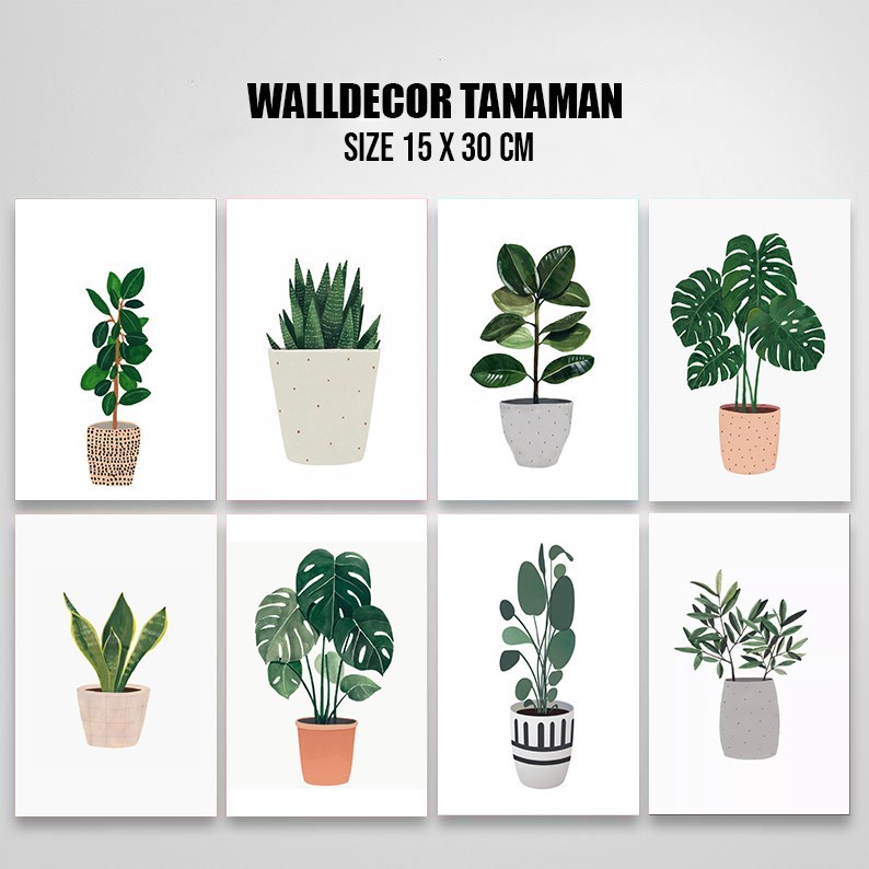 Hiasan Dinding Wall Decor Pajangan Dekorasi Tanaman Plant 15X30