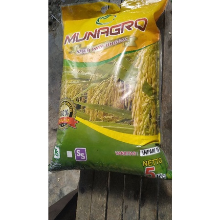 Benih padi Inpari 16 5kg