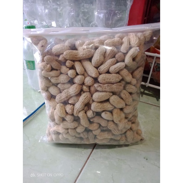 

KACANG OVEN DAN SANGRAI 500gr BERGIZI KACANG ASIN SANGRAI RENYAH KACANG ENAK GURIH MAKANAN RINGAN BERGIZI TINGGI