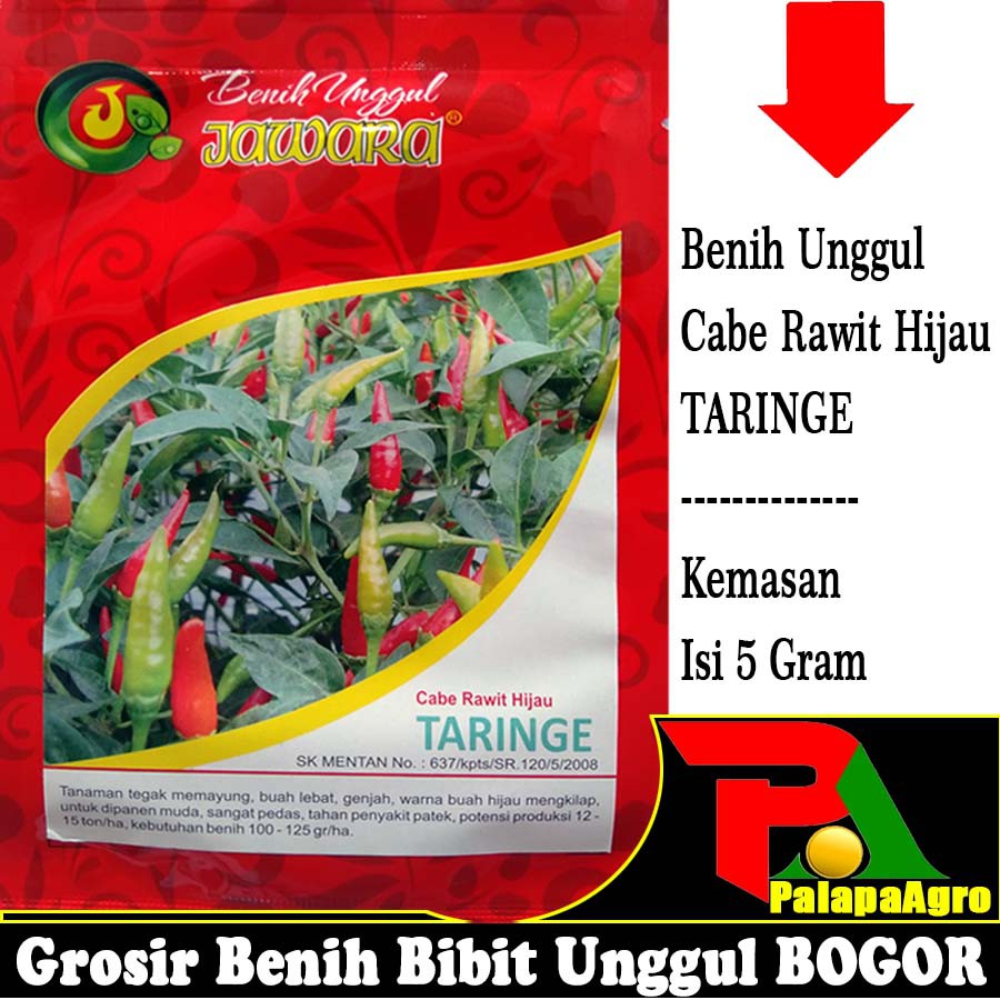 Isi ±1250biji - Bibit Cabe Rawit Hijau TARINGE 5gram - Benih Cabe Rawit Super