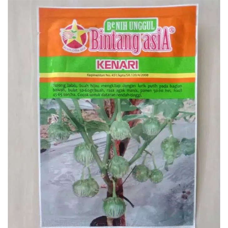 Benih Bibit Terong Lalap KENARI 10gr.