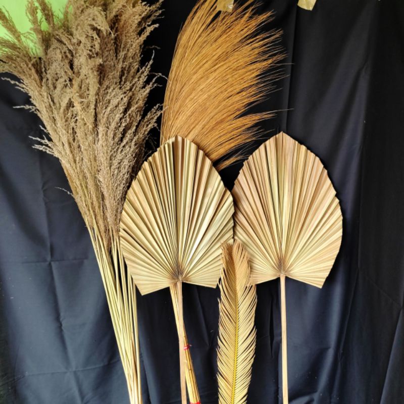 PAKET HEMAT DAUN PALEM KERING PAMPAS & RAYUNG