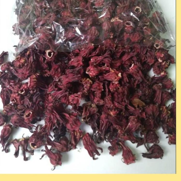 

TERLARIS Bunga Rosella Kering 500gr - Teh Bunga Rosela Premium ♯ 892